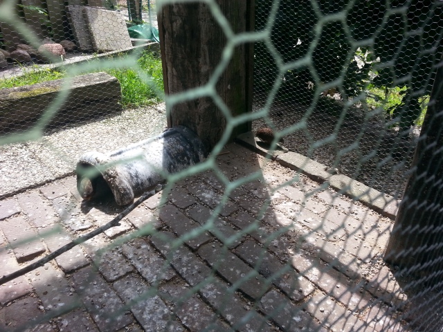 ../fotos/het_verlaat_2016/2016-06-30 13.40.01.jpg